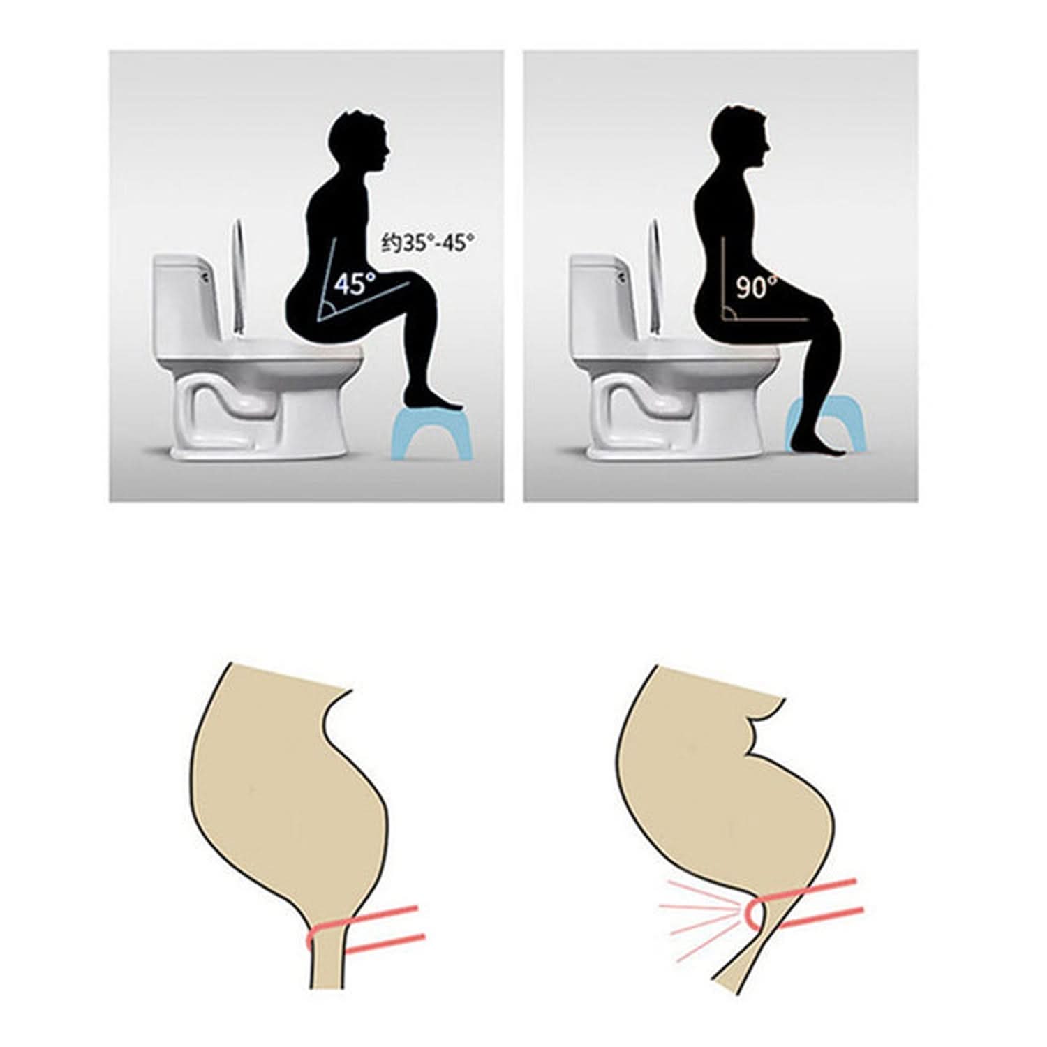 ReliefStep™ Pro – Foldable Non-Slip Toilet Squat Stool | Constipation & Piles Relief Aid with Diffuser Slot.