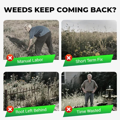 CycloGuard Pro Granules – Selective & Long-Lasting Herbicide for Weed Control in Turf, Crops & Landscapes.